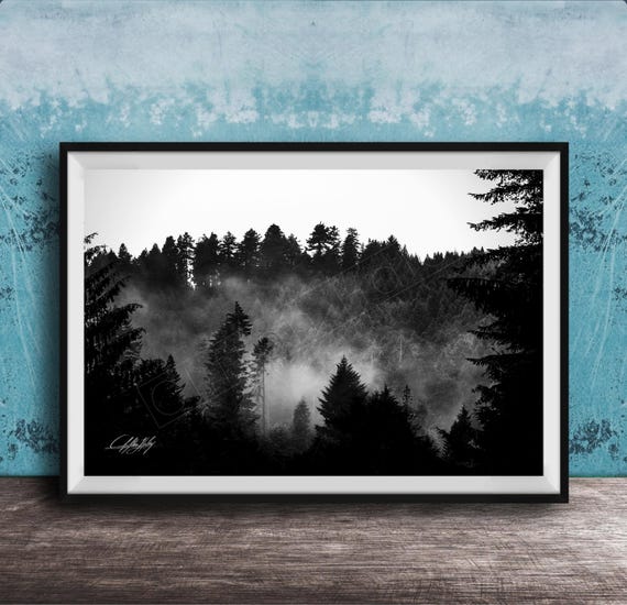 Foggy Forest Wall Art Misty Pines And Morning Fog Large Canvas