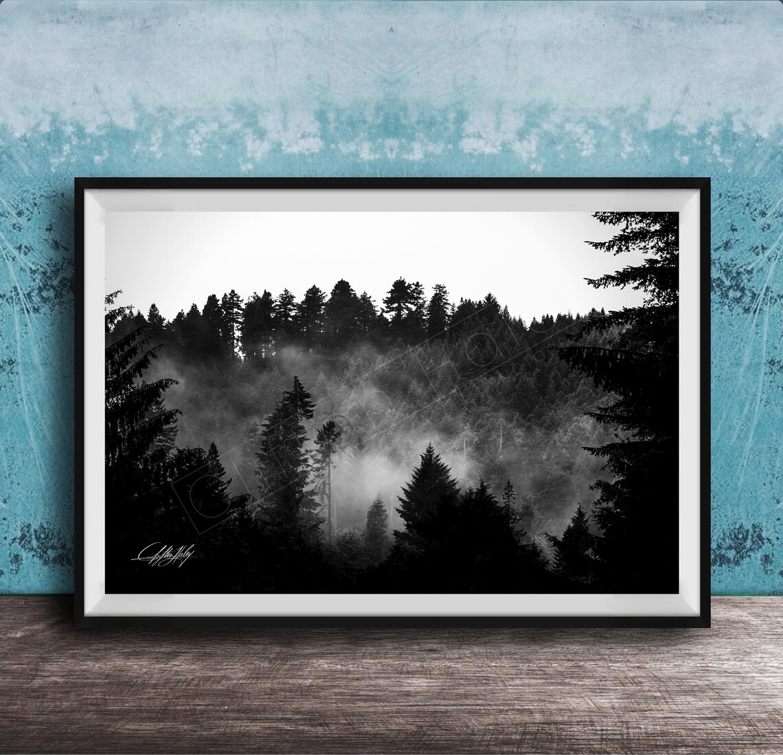 Misty Black and White Pine Forest Moody Fog Photography Poster