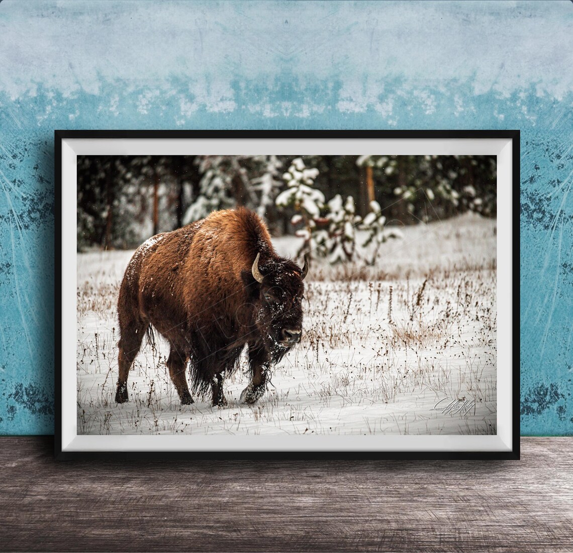 Snowy Bison Canvas Print Rustic Wildlife Wall Decor