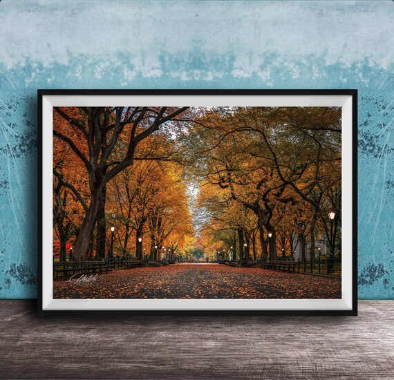 Central Park Autumn Sunrise Travel Poster