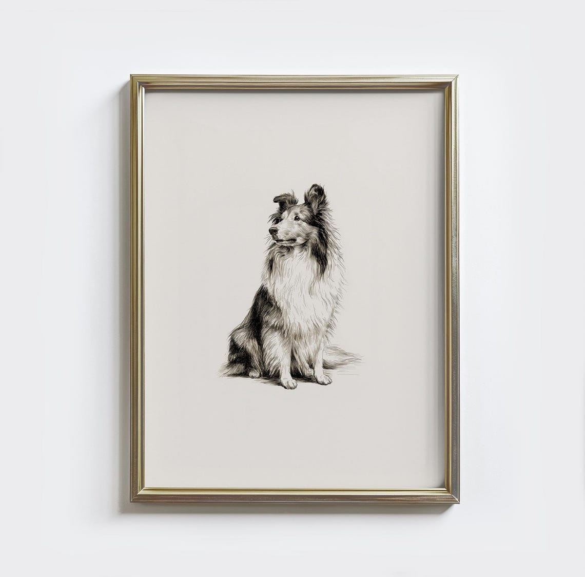 Shetland Sheepdog Vintage Sketch Sitting Portrait Dog Lover Wall Art