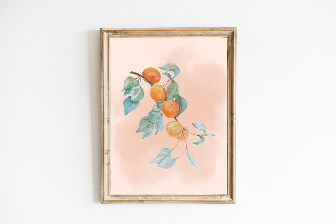 Watercolor Apricots on Branch Soft Peach Botanical Fruit Poster - Image 2