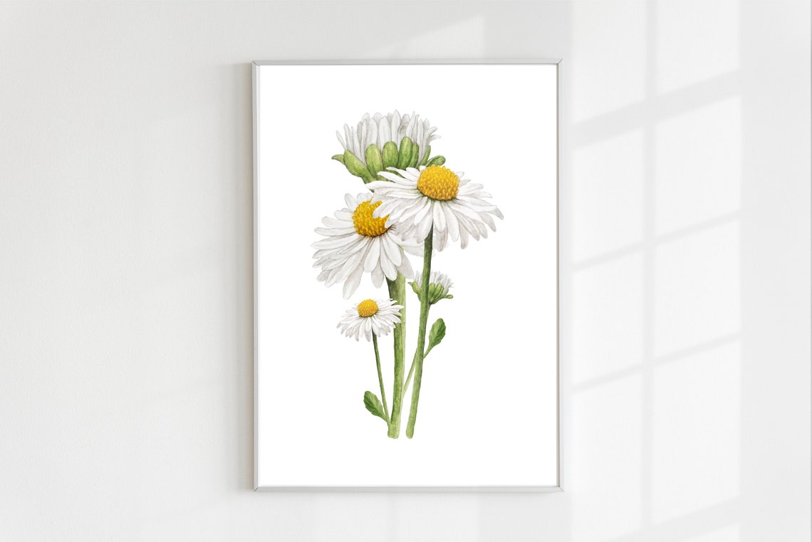 White Daisy Watercolor Botanical Flower Art Print for Girls Room - Image 3