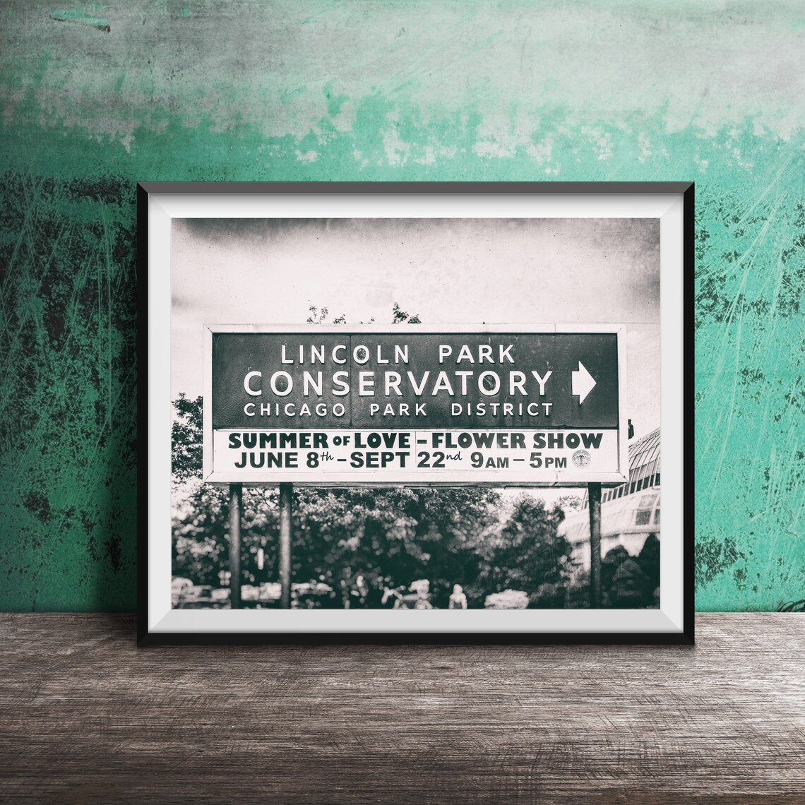 Chicago Lincoln Park Conservatory Photo Print
