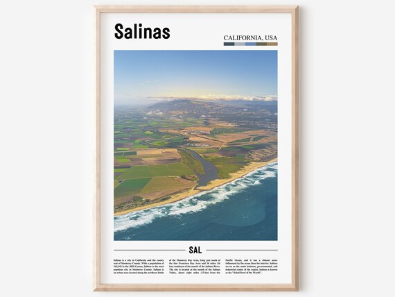Salinas California USA Aerial Farmland Coastline Travel Poster