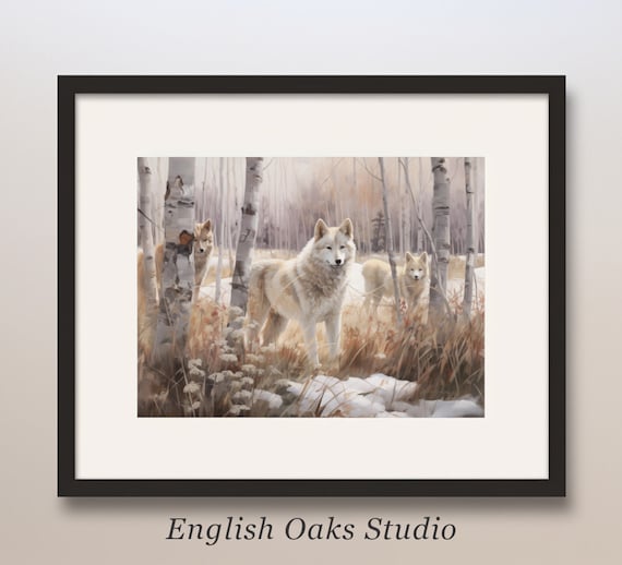 Three White Wolves in Birch Forest in Winter Wildlife Pack Poster
