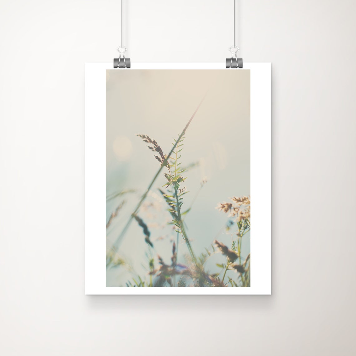 Sunlit Wildflower Grasses Botanical Nature Photography Print