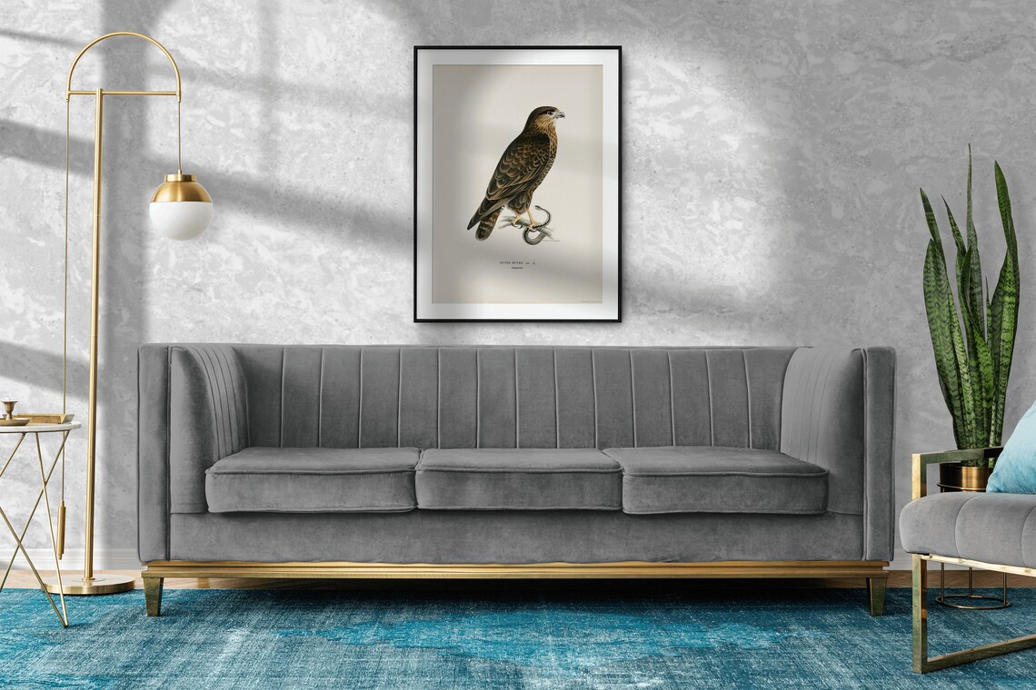 Buzzard Bird Of Prey Vintage Nature Art Print - Image 2