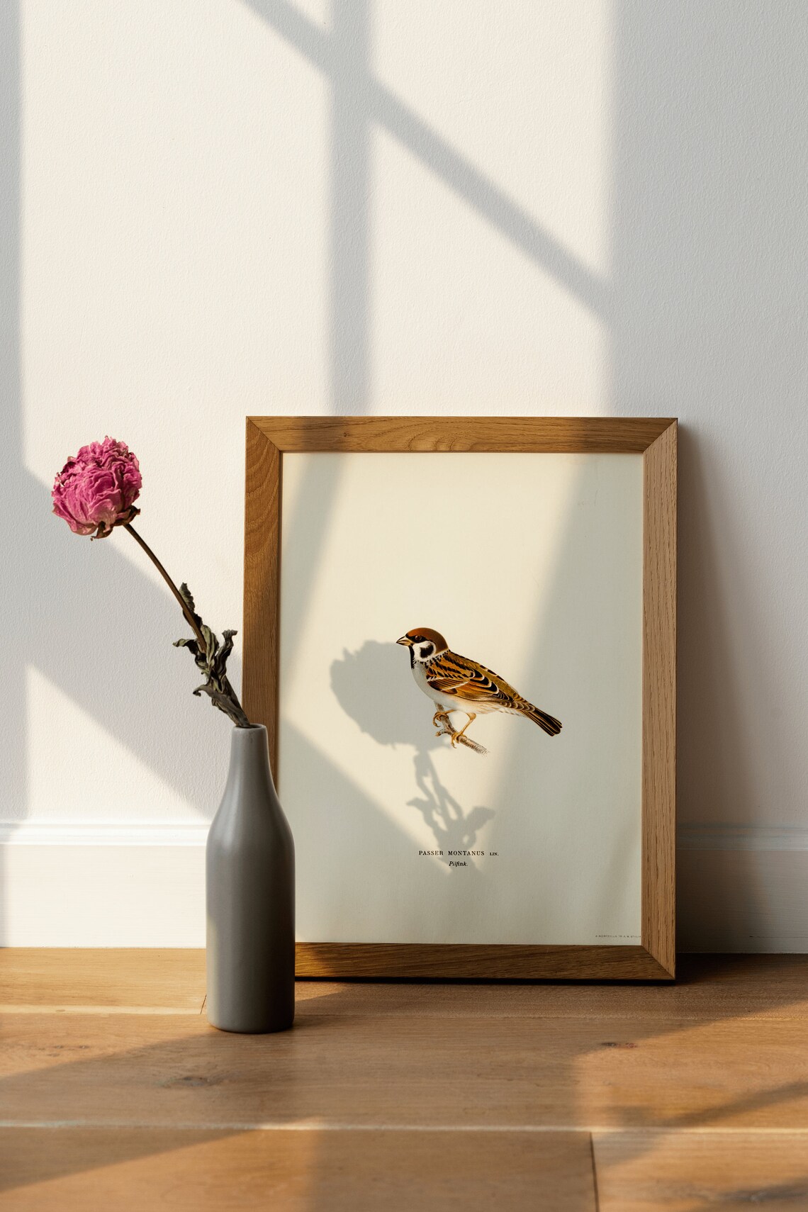 Tree Sparrow Vintage Nature Art Print Poster - Image 4