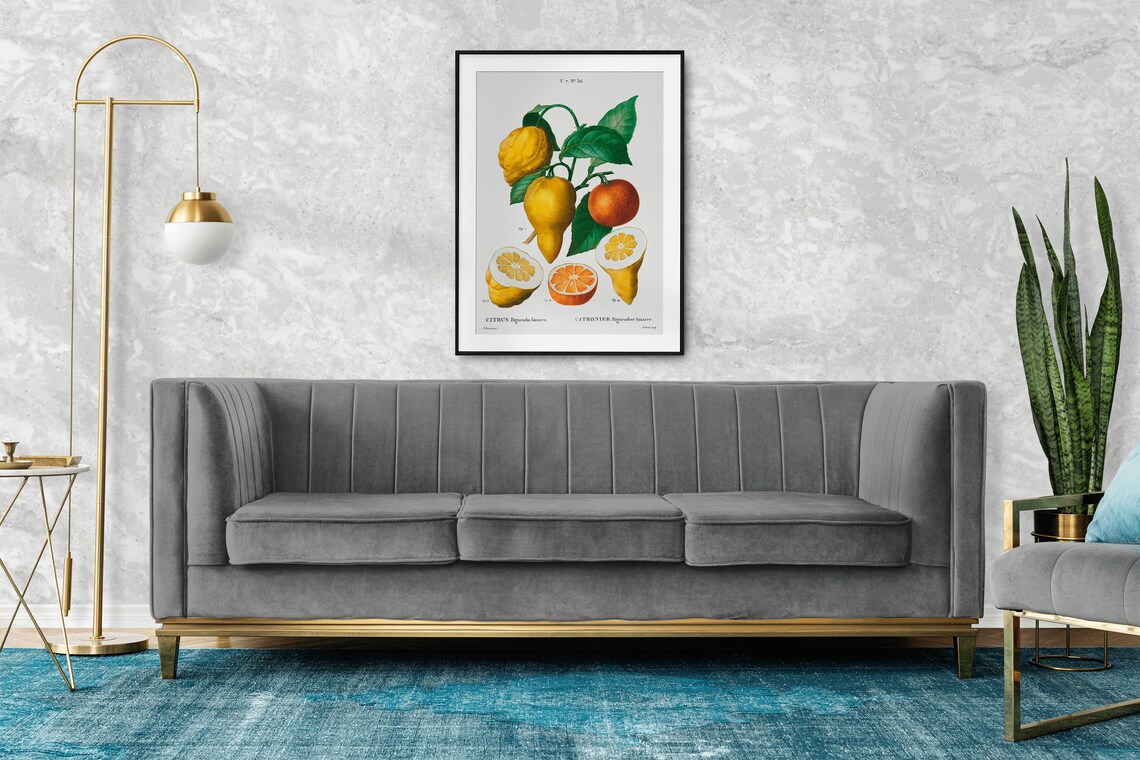 Vintage Citrus Bigaradia Bizarro Lemon Botanical Illustration Poster - Image 2