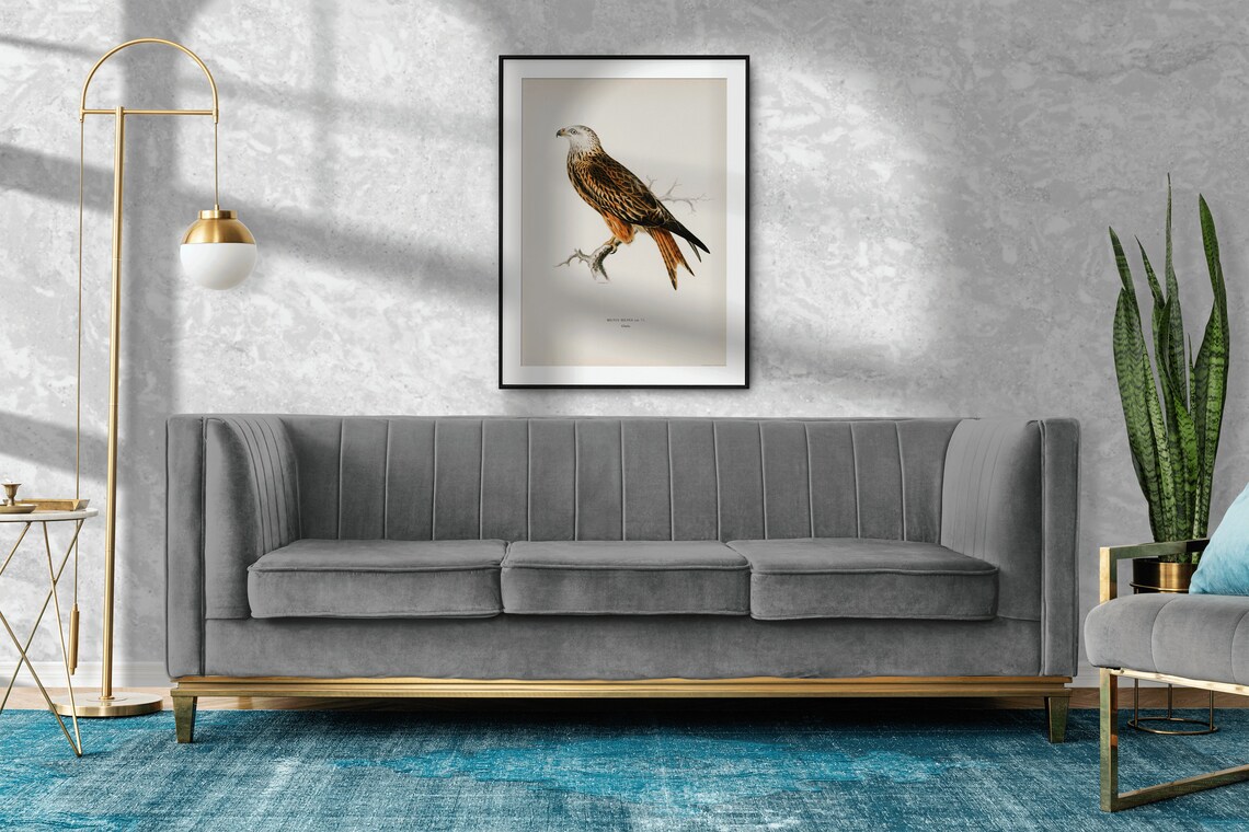 Red Kite Bird of Prey Vintage Nature Art Print - Image 2