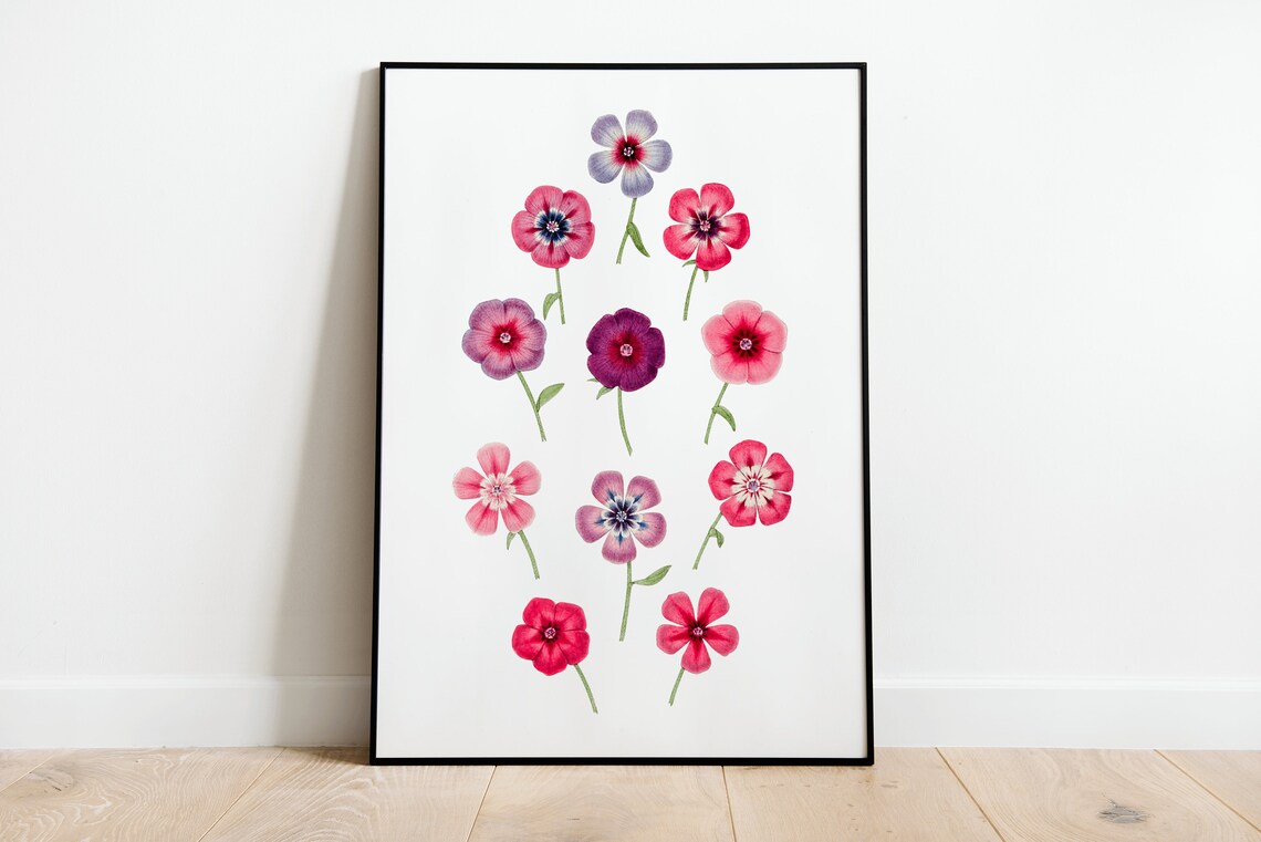 Pink and Purple Phlox Blossom Scatter Floral Illustration Wall Poster