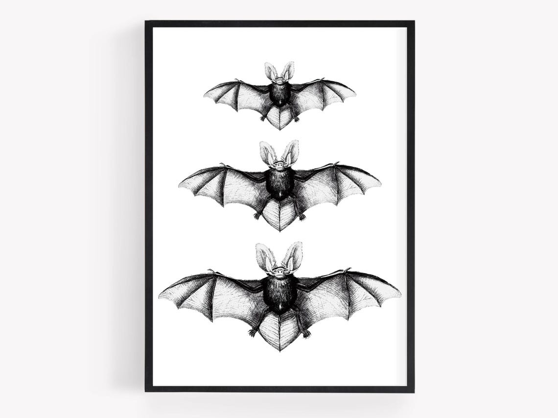 Three Bats Vintage Naturalist Illustration Halloween Spooky Poster - Image 3
