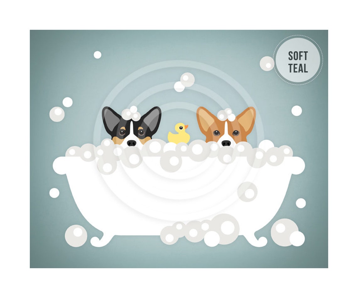 Two Corgi Dogs Peeking Bubble Bath Rubber Ducky Teal Bathroom Poster - Image 4