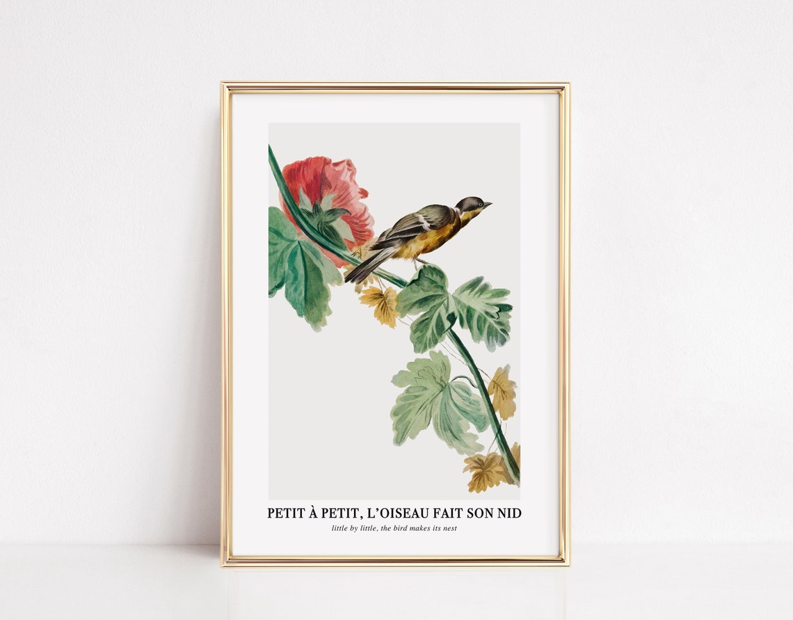 Vintage French Bird Botanical Little By Little Bird Nest Quote Poster
