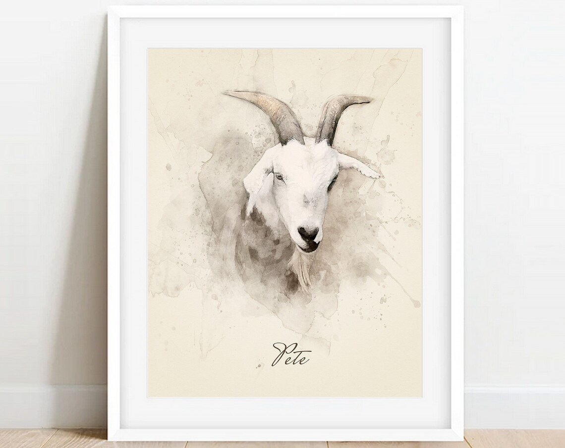 Pete Watercolor White Goat Portrait Custom Farm Pet Art Poster