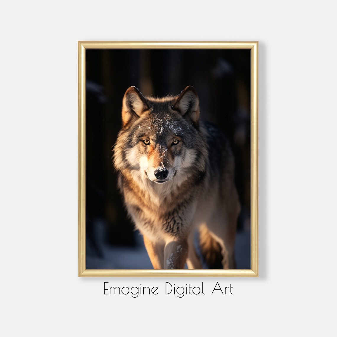 Gray Wolf Winter Snow Golden Light Wildlife Photography Poster