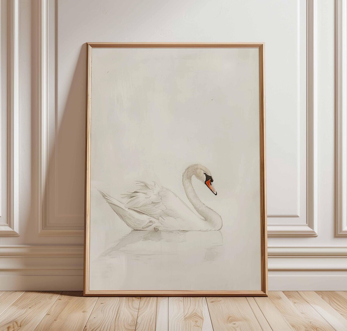 White Swan Sketch Minimalist Mute Swan Bird Watercolor Art Poster
