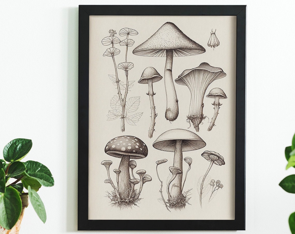 Vintage Mushroom Botanical Sketch Fungi Illustration Wall Art