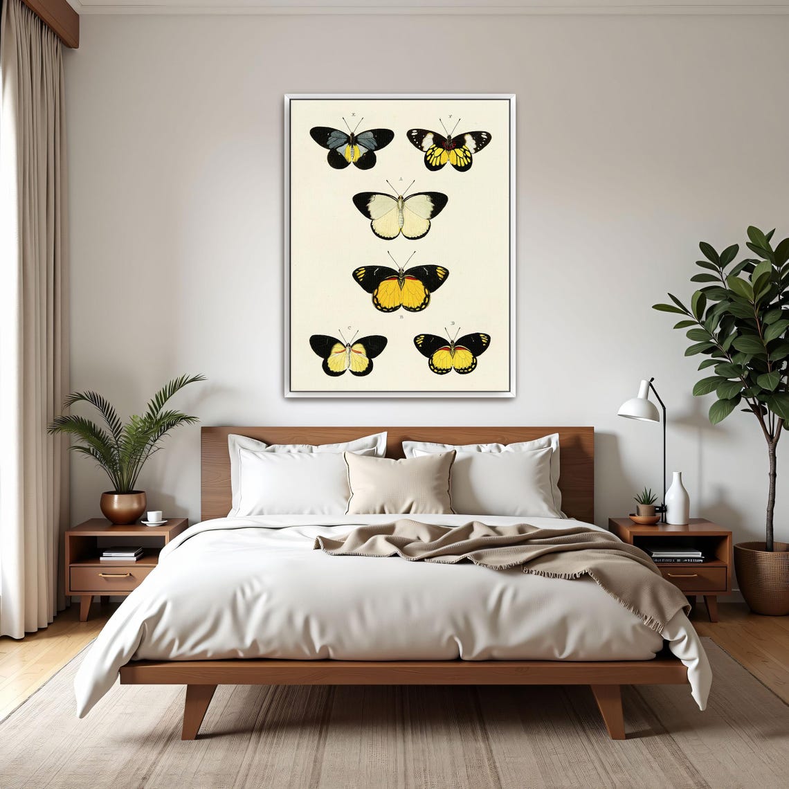 Six Yellow Black and White Butterflies Vintage Entomology Art Poster