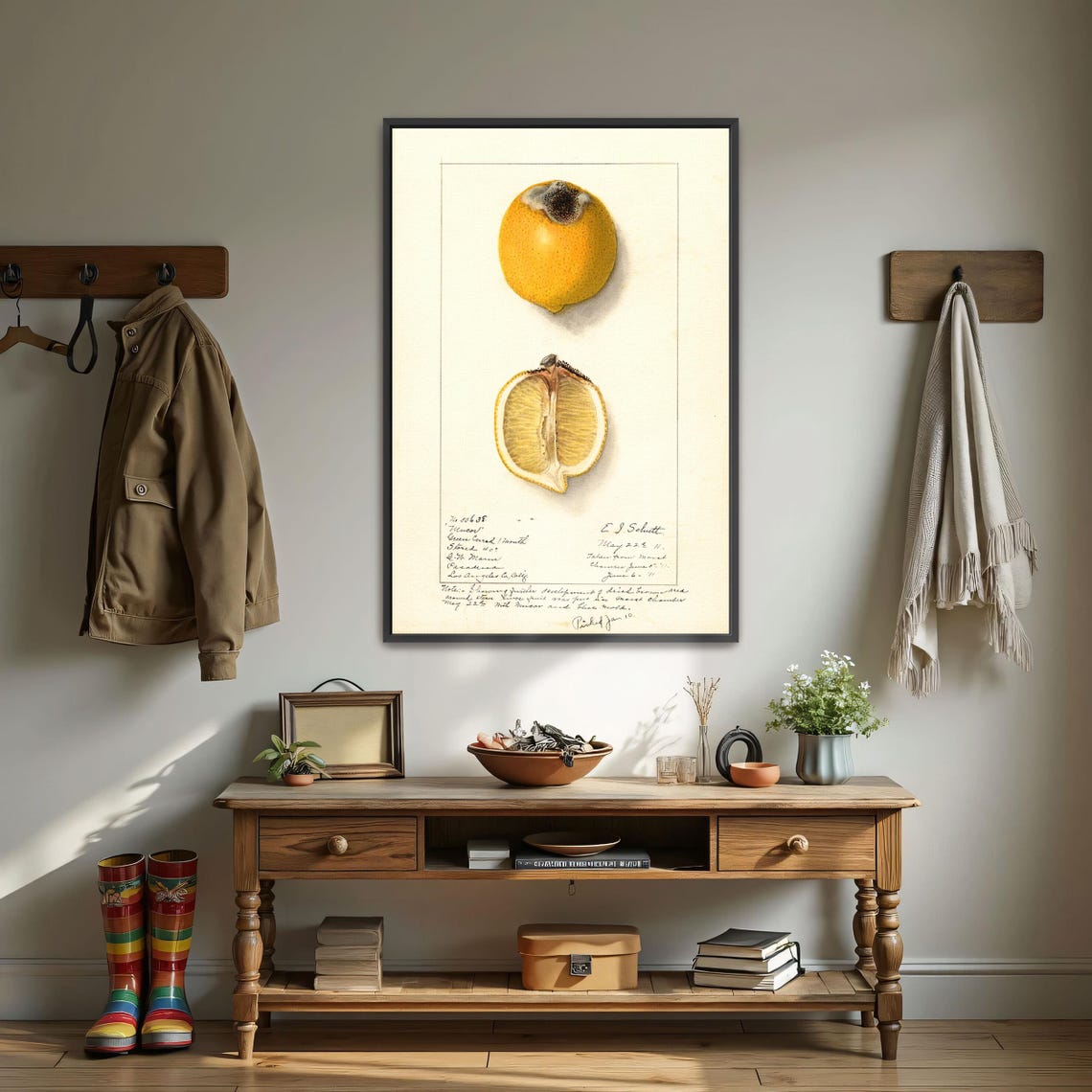 Victorian Lemon Watercolor Study Whole And Halved Fruit Poster