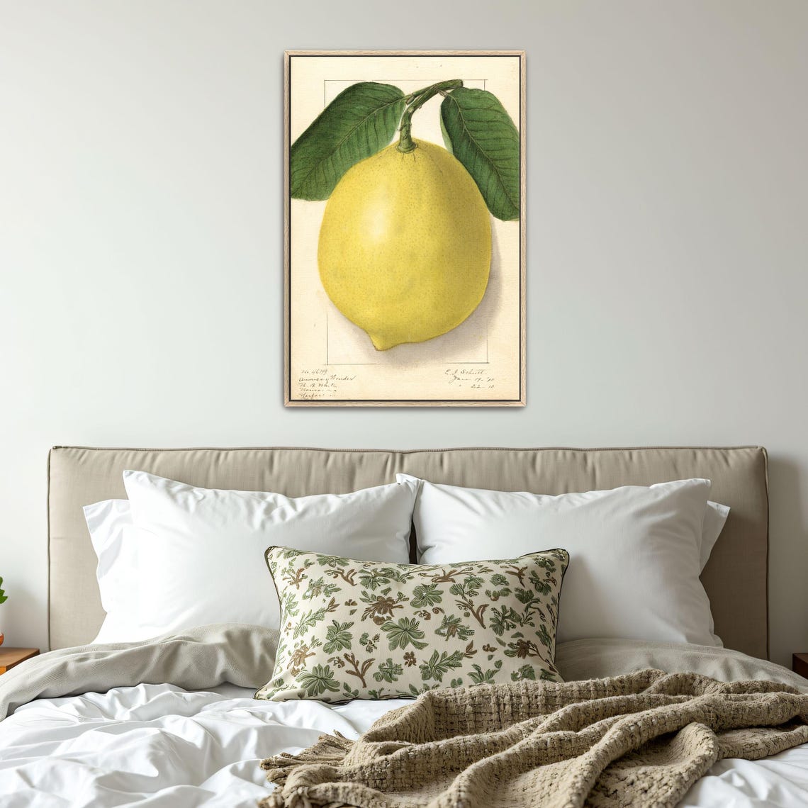 Single Lemon With Green Leaves Vintage Botanical Study Poster - Image 4