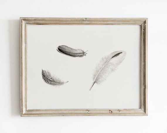 Feather Drawing Vintage Minimalist Sketch Art Print