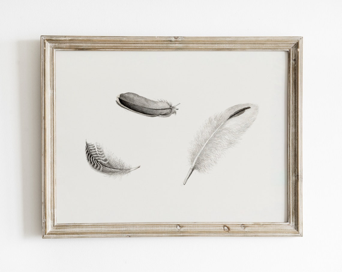 Feather Drawing Vintage Minimalist Sketch Art Print