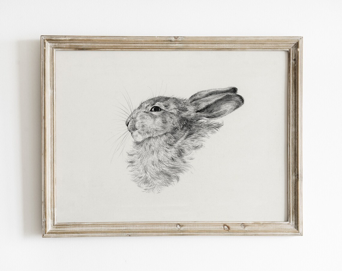 Hare Head Pencil Sketch Antique Wildlife Drawing Fine Poster