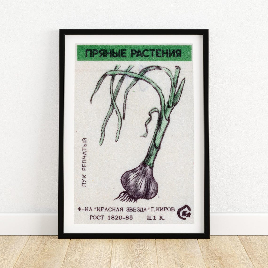 Onion Spicy Plants Soviet Matchbox Vintage Botanical Art Poster