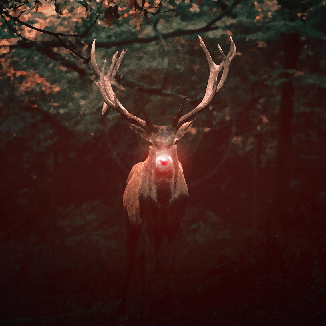 Rudolph The Red Nosed Reindeer, Christmas Decor - Image 3