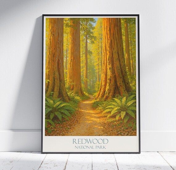Redwood National Park Ancient Forest Path Sunbeam Vintage Travel Poster
