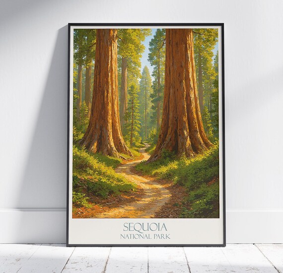 Sequoia National Park Ancient Redwood Grove Sunlit Trail Poster