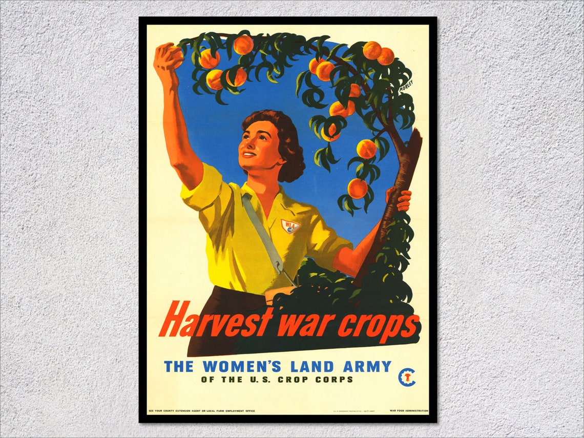Harvest War Crops Womens Land Army WW2 Propaganda Reprint Poster