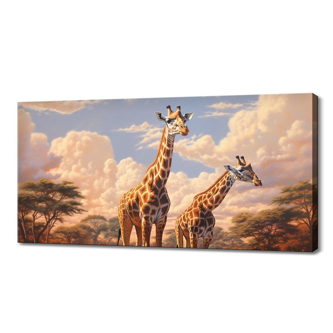 Two Giraffes In African Savanna Under Sunset Sky Wildlife Poster