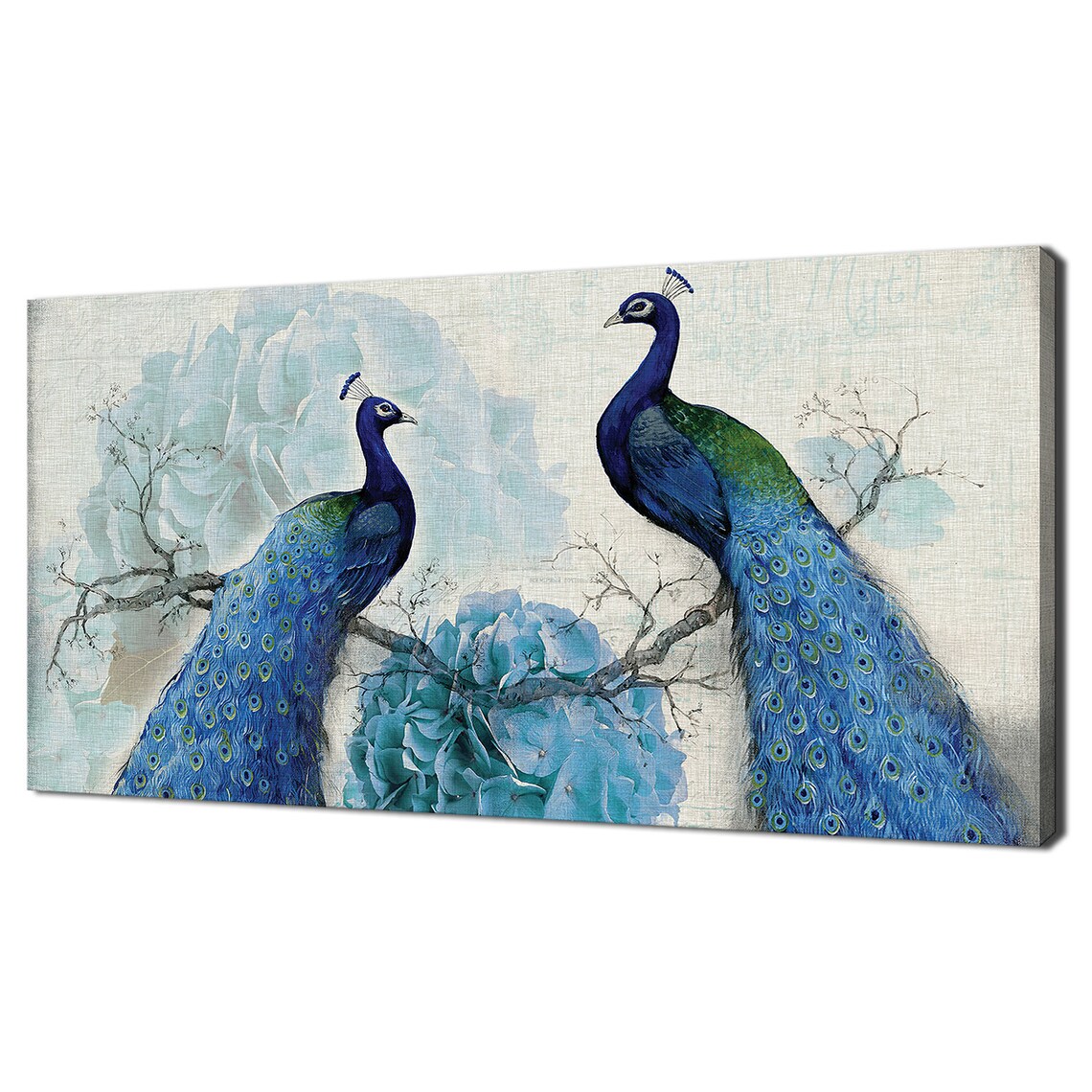 Blue Peacock Birds Wall Art Print, Home Decor