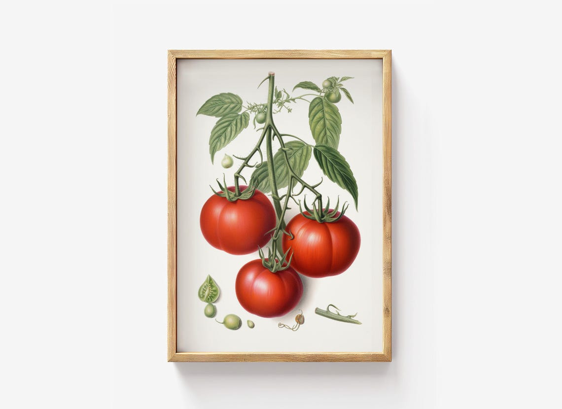 Red Tomato Cluster Antique Botanical Lithograph Style Art Poster