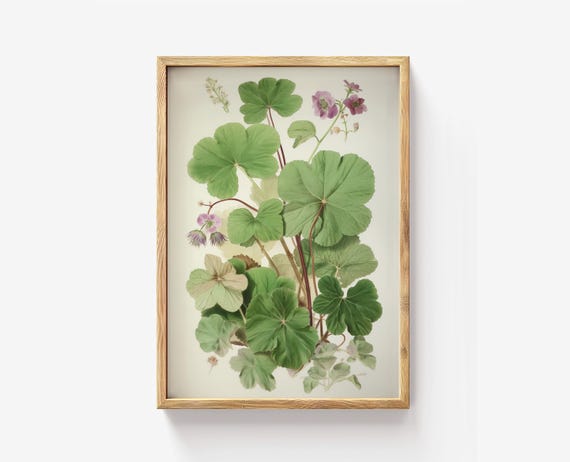 Mallow Botanical Print Vintage Apothecary Herb Art Green Leaf Illustration Herbal Wall Decor