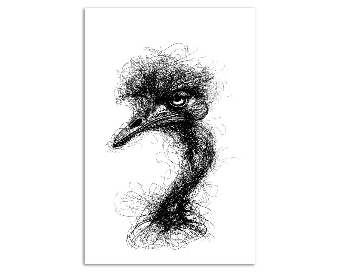 Ostrich Head Scribble Art Black And White Line Drawing Bird Print - Image 3