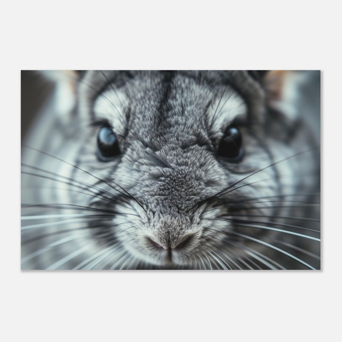 Chinchilla Extreme Close Up Gray Furry Face Cute Animal Photo Poster - Image 4