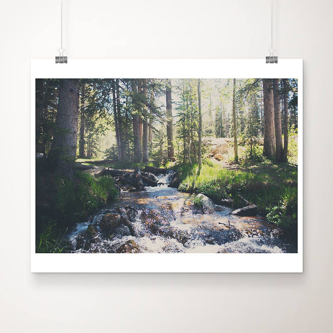 Santa Fe National Forest Pine Stream Sunlit Photo Wall Print
