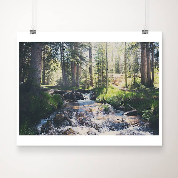 Santa Fe National Forest Pine Stream Sunlit Photo Wall Print