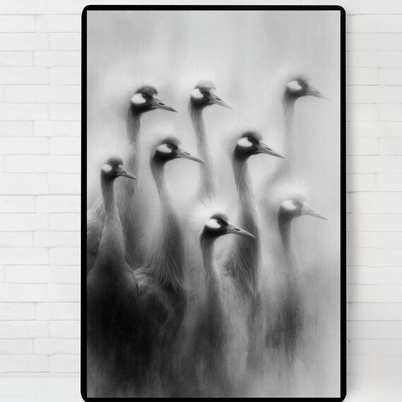 Black White Crested Cranes Mist Minimalist Wildlife Bird Poster