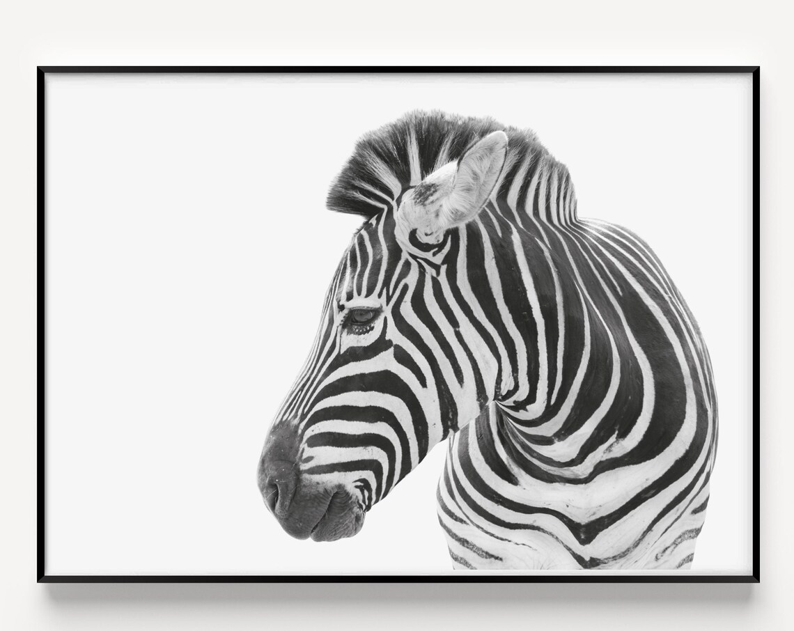 Black And White Zebra Portrait Minimalist Animal Wall Poster