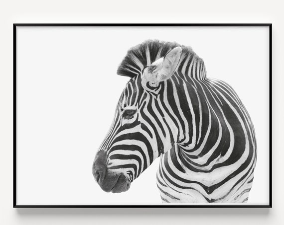 Zebra Print Wall Art Minimalist Black And White Prints Scandinavian Scandi Style Posters
