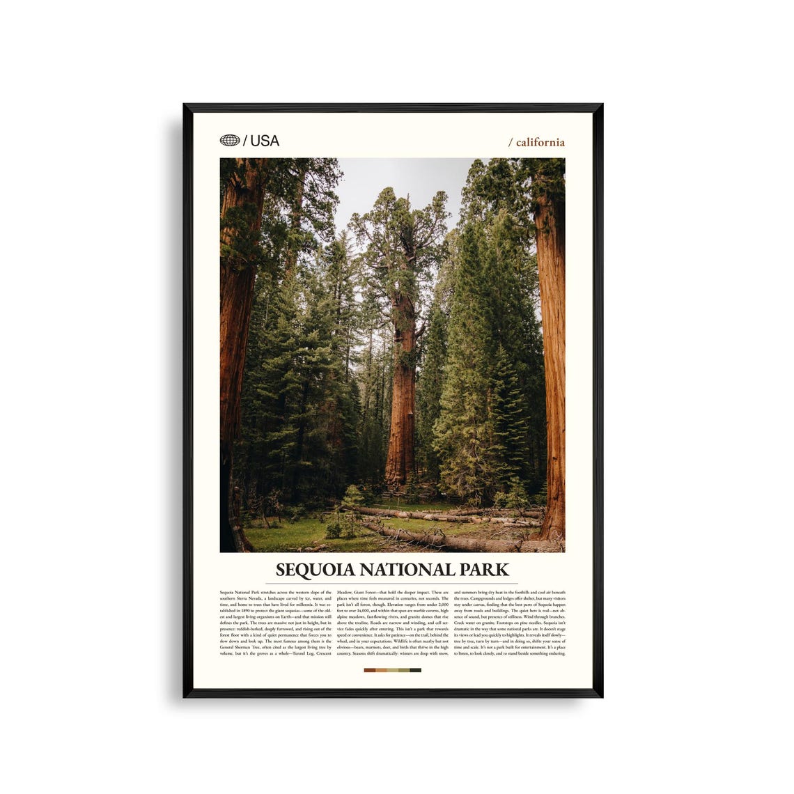 Sequoia National Park California Giant Redwoods Travel Poster