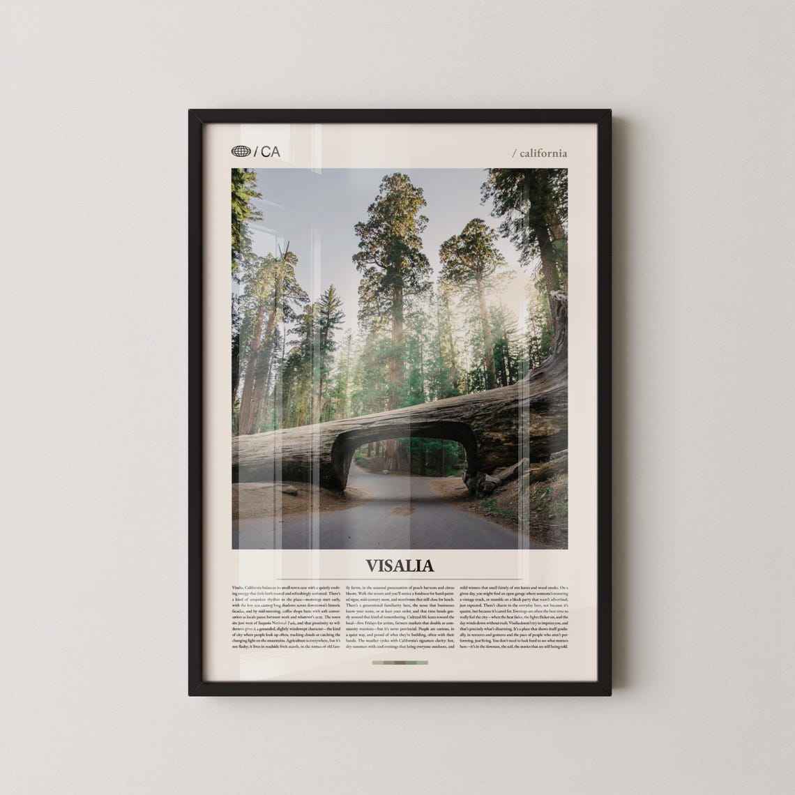 Visalia California Sunlit Giant Sequoia Editorial Photo Poster
