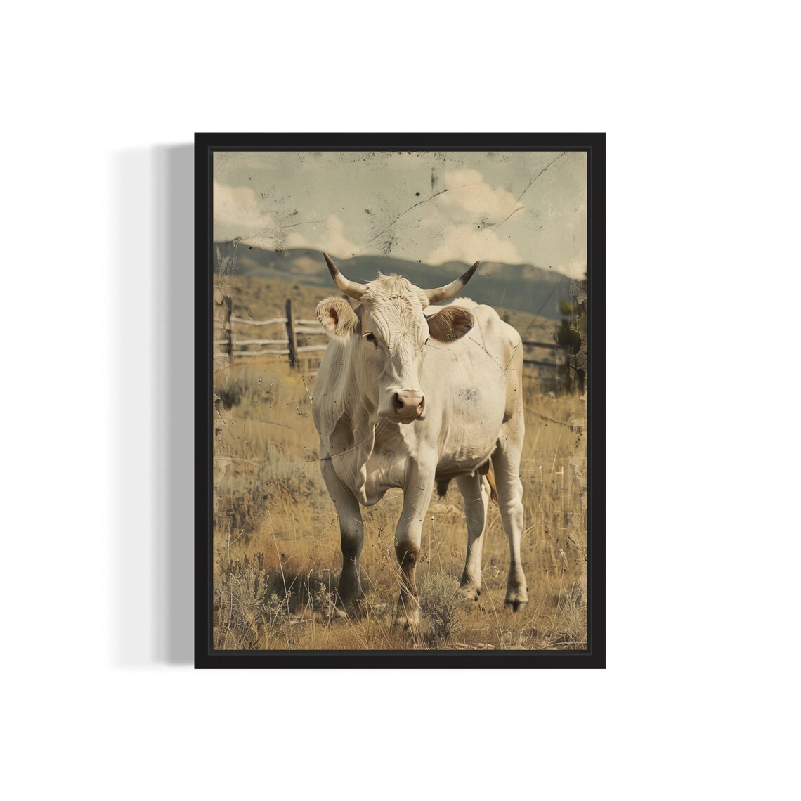 White Longhorn Cow Standing in Sepia Pasture Vintage Farm Poster