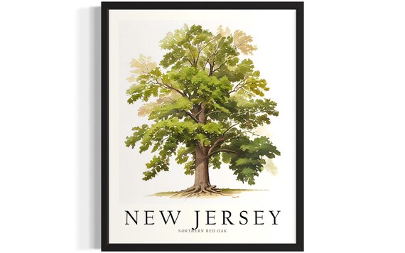 New Jersey Northern Red Oak Watercolor Botanical Tree Art Poster