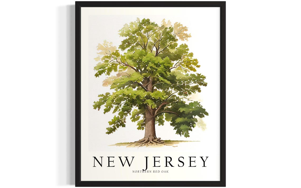 New Jersey Northern Red Oak Watercolor Botanical Tree Art Poster